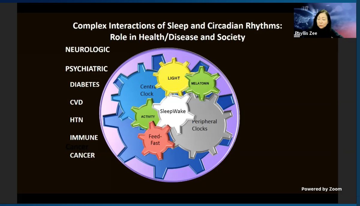How can we manipulate the circadian rhythm? @PhyllisZee  #CHEST2020  #CHESTSoMe  @accpchest