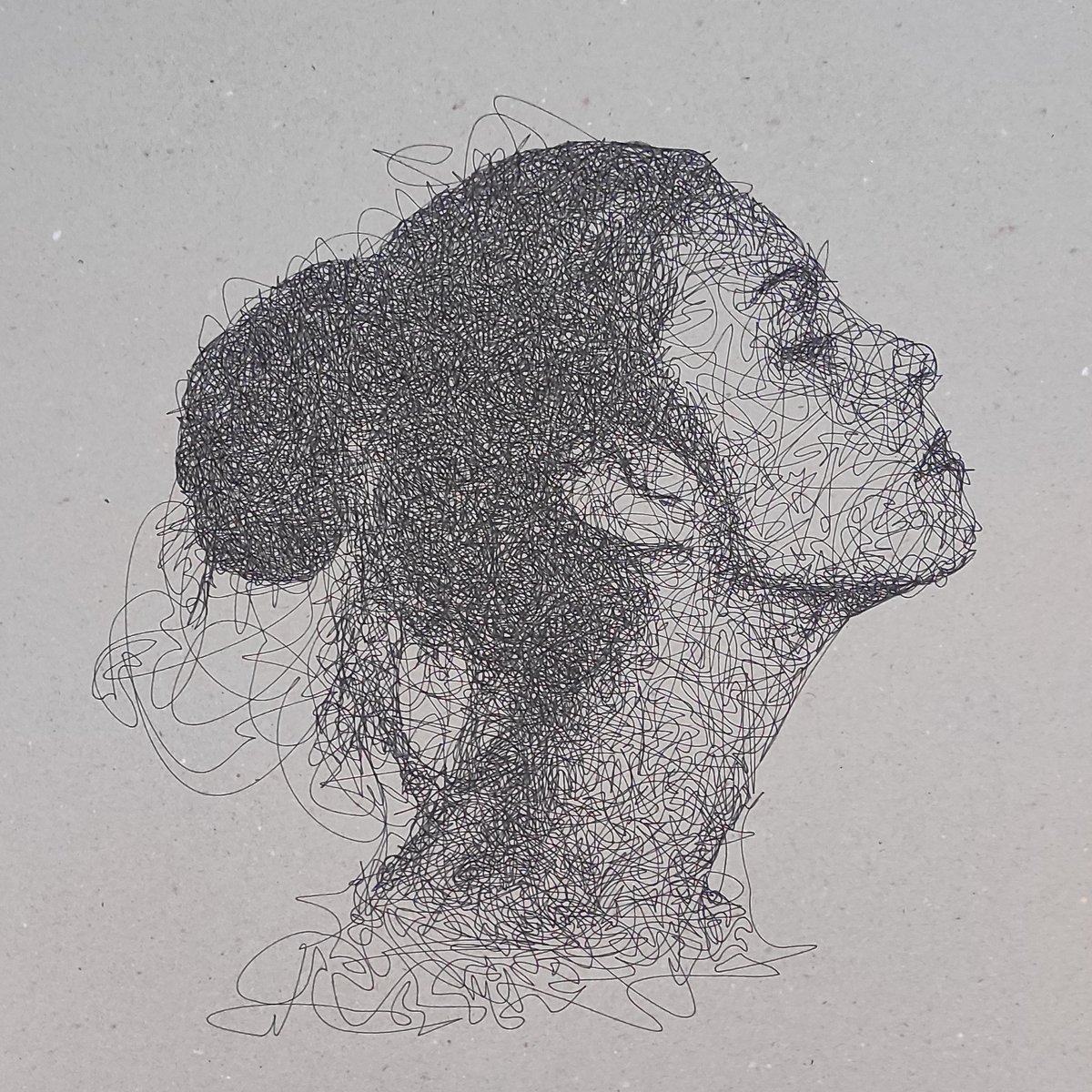 algorigraph's tweet image. woman with long neck - #plottertwitter