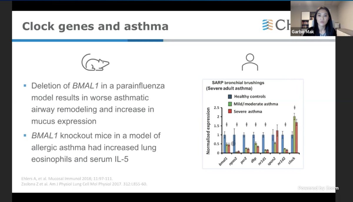 Are clock genes linked to Asthma? @g_mak  #CHEST2020  #CHESTSoMe  @accpchest