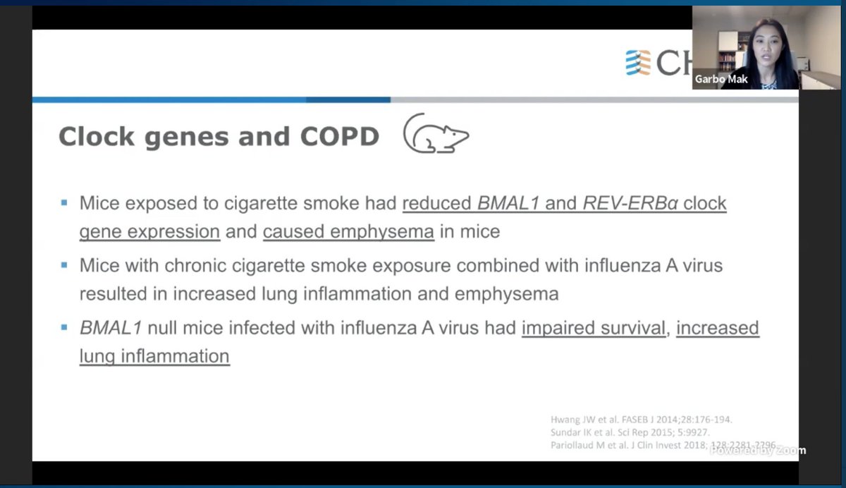 Are clock genes linked to COPD then? @g_mak  #CHEST2020  #CHESTSoMe  @accpchest