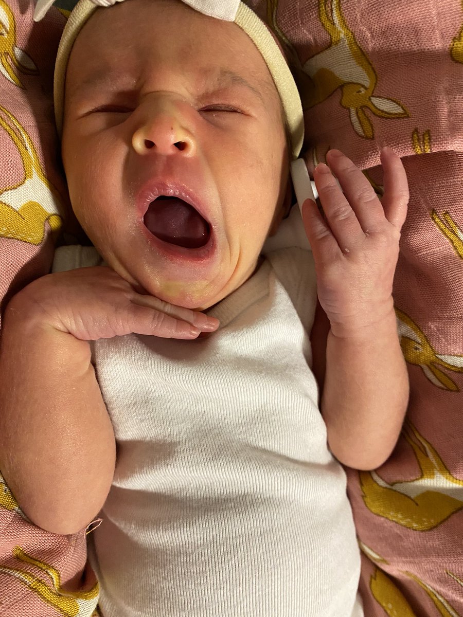 eeemilyyy__'s tweet photo. Forever tired (Eloise edition) https://t.co/AZ2P0Fndeo