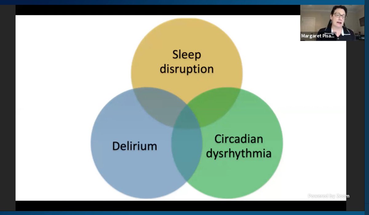 Interplay in Sleep Disruption, Delirium and Circadian Rhythm! @PisaniMAP  #CHEST2020  #CHESTSoMe  @accpchest