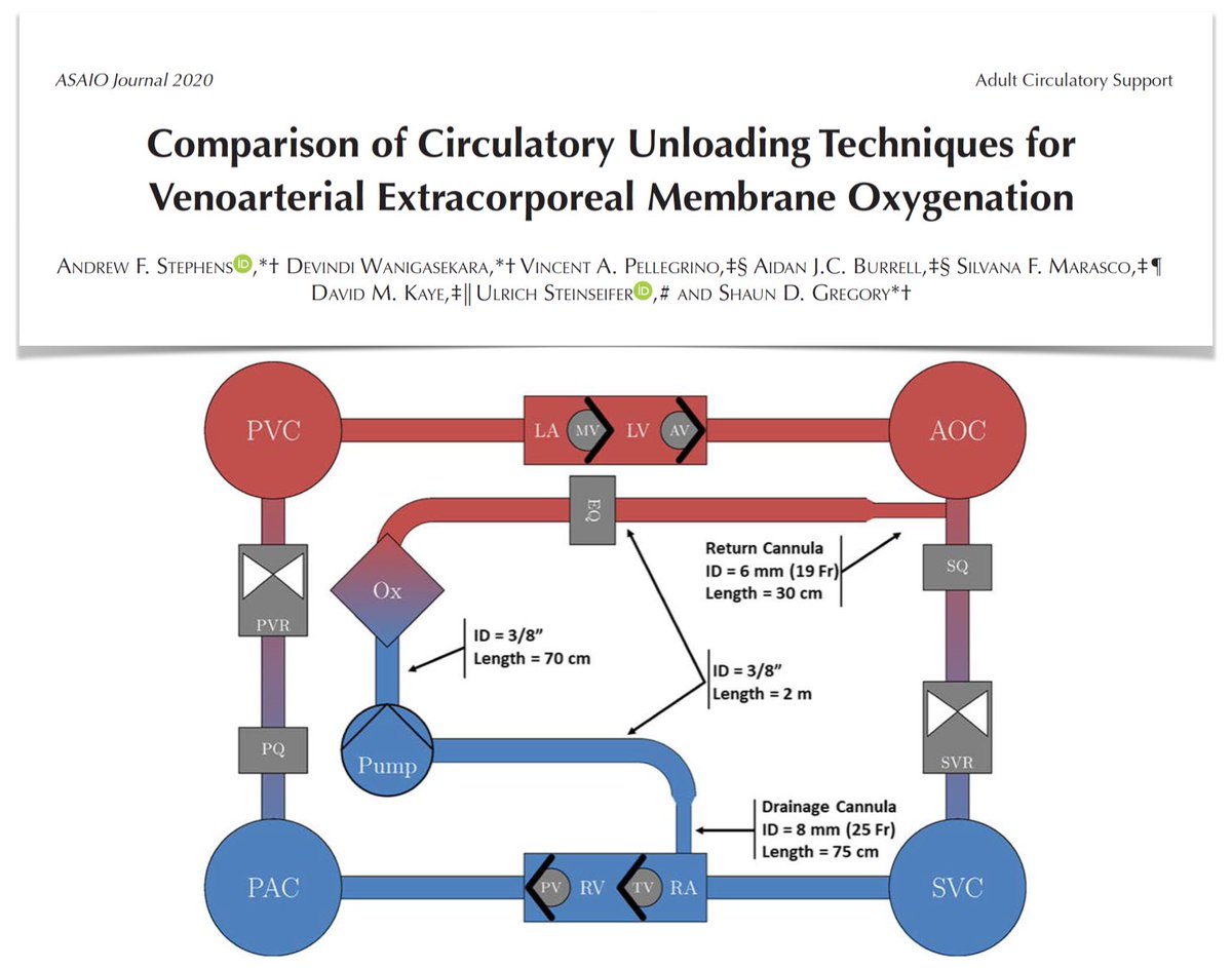 M Velia Antonini (@foamecmo) on Twitter photo Circulatory unloading on VA #ECMO to reduce LV distention, blood stasis, pulmonary edema, effects of common techniques at different flows: variably applicable, greatly variable impact on hemodynamics, but proper unloading w vents, ASD & tVAD <a href="/asaiojournal/">asaiojournal</a> bit.ly/34blFOg Circulatory unloading on VA #ECMO to reduce LV distention, blood stasis, pulmonary edema, effects of common techniques at different flows: variably applicable, greatly variable impact on hemodynamics, but proper unloading w vents, ASD & tVAD <a href="/asaiojournal/">asaiojournal</a> bit.ly/34blFOg