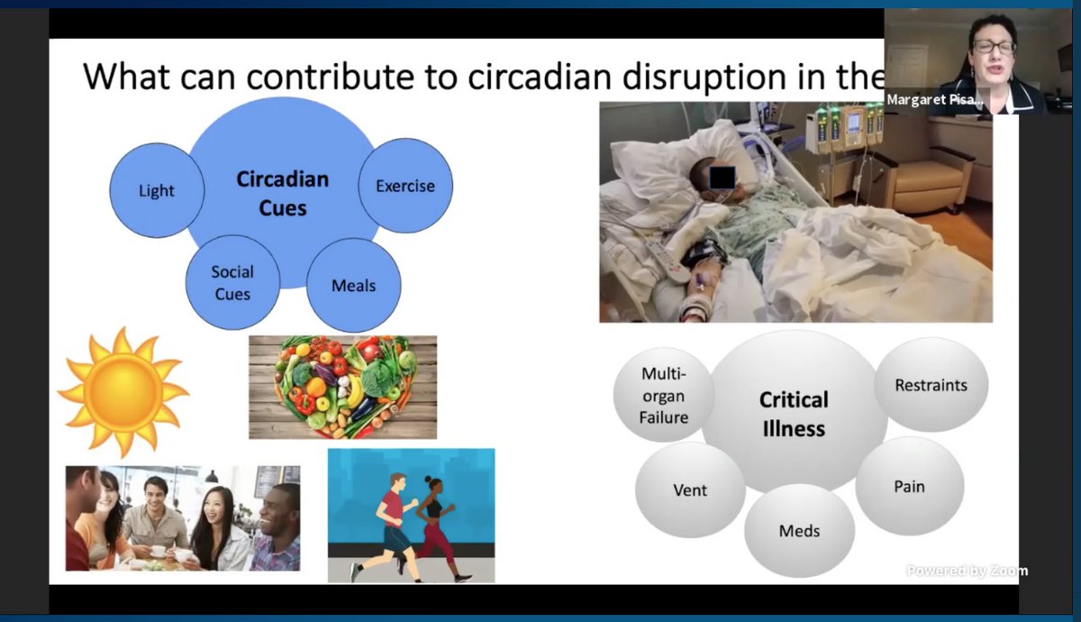Light, meals, social cues, exercise, ... can all impact Circadian rhythm in the ICU @PisaniMAP  #CHEST2020  #CHESTSoMe  @accpchest