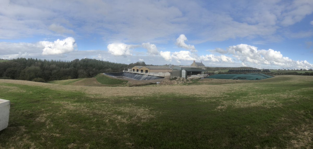 4 month and 1 day after purchase. Sheep farm to dairy farm mission complete! All ready for d day!!  170 cows to move from home tomorrow #teamdairy