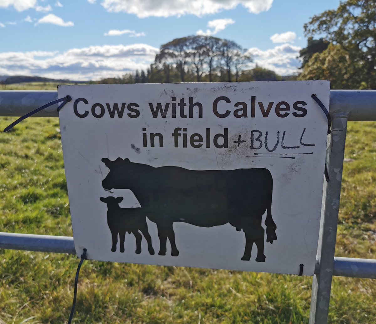 The dreaded sign from our Sunday wlak. Made even worse by the late addition 😂
#slaidburn #forestofbowland.