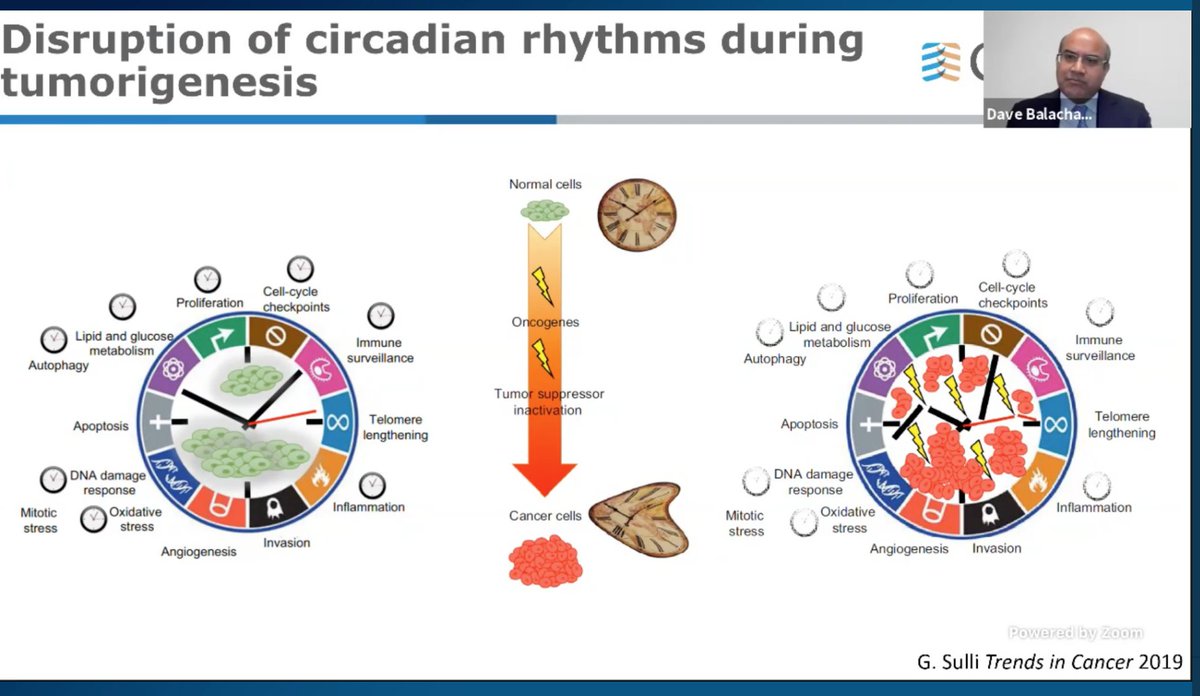 There are multiple mechanisms linking the disruption of circadian rhythm and tumor growth @DiwakarB1988  #CHEST2020  #CHESTSoMe  @accpchest