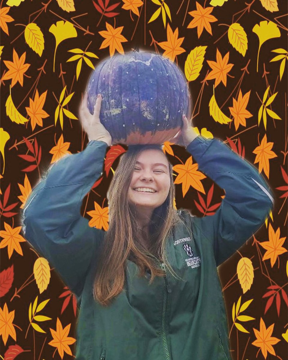 Alternative Spring Break NWMSU tweet media