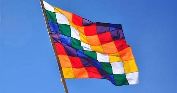 mariliacout's tweet photo. Today I celebrate the first good news in a long, long time. 
I refuse to get upset with yet another trumpist or bolsonarist bullshit today.
Today is #Bolivia day - #Indigenous victory - #LeftVictory https://t.co/sa0Ty8FZIp