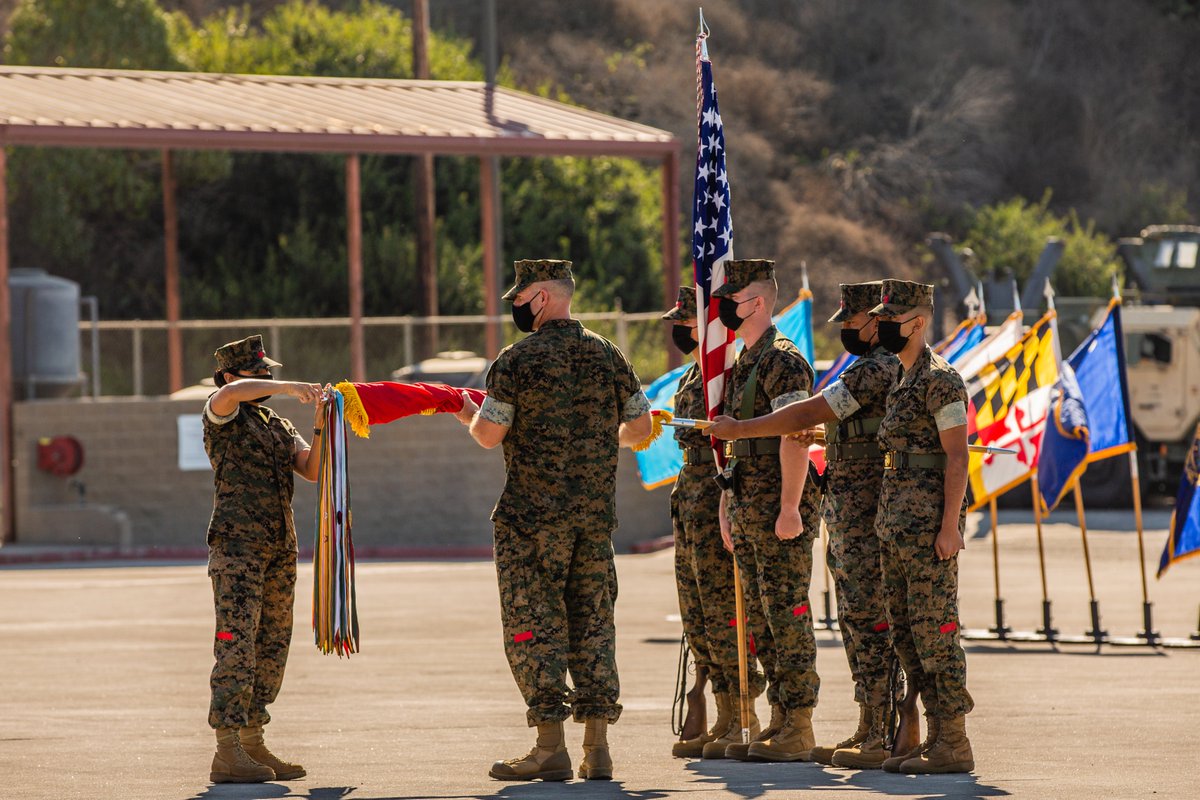 Project Usmc Blog Christian Bull (@bullsusmc) / Posts / X