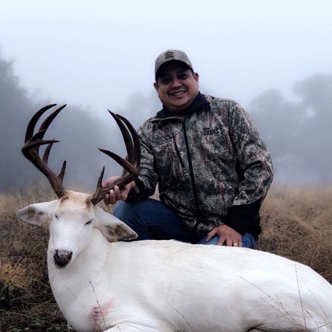 LisaHunting's tweet photo. A Leucistic Whitetail with dark chocolate antlers from Big Drop Ranch in Texas. #WildBuck https://t.co/wUPb8iSq3J