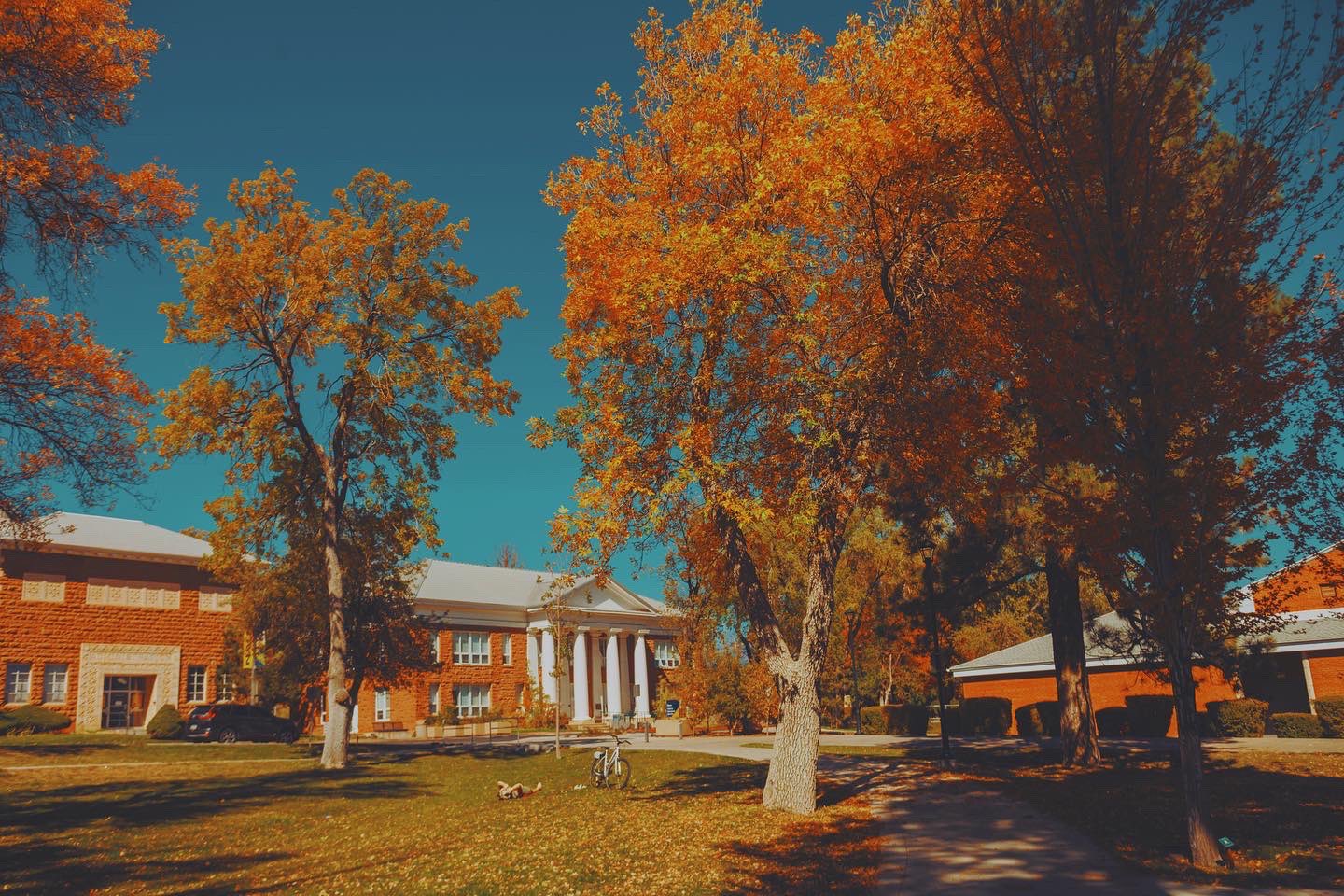 NAU Student Accounts (nau_sdas) / Twitter