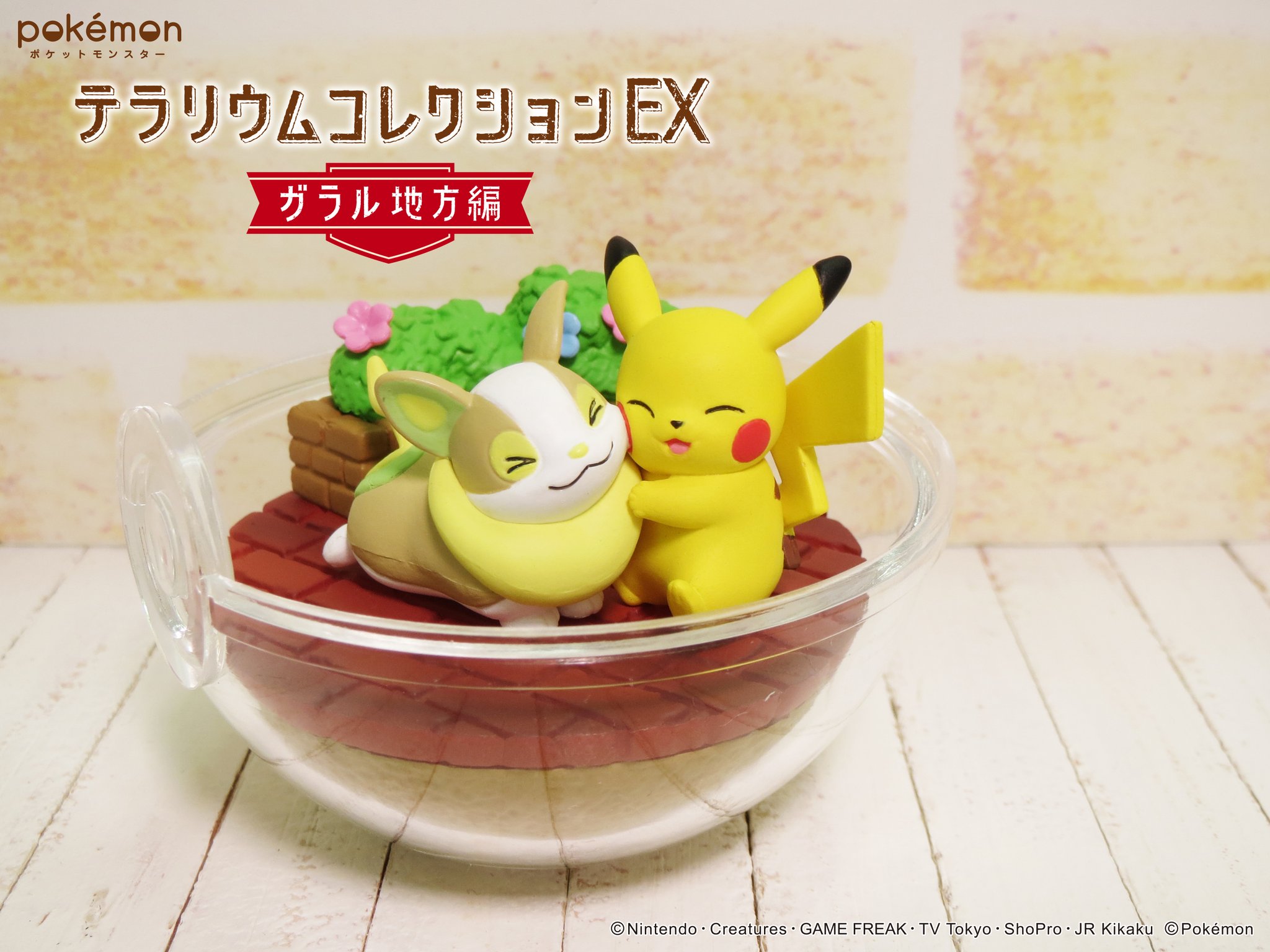 ポケットモンスター テラリウムコレクションEX 〜ガラル地方編