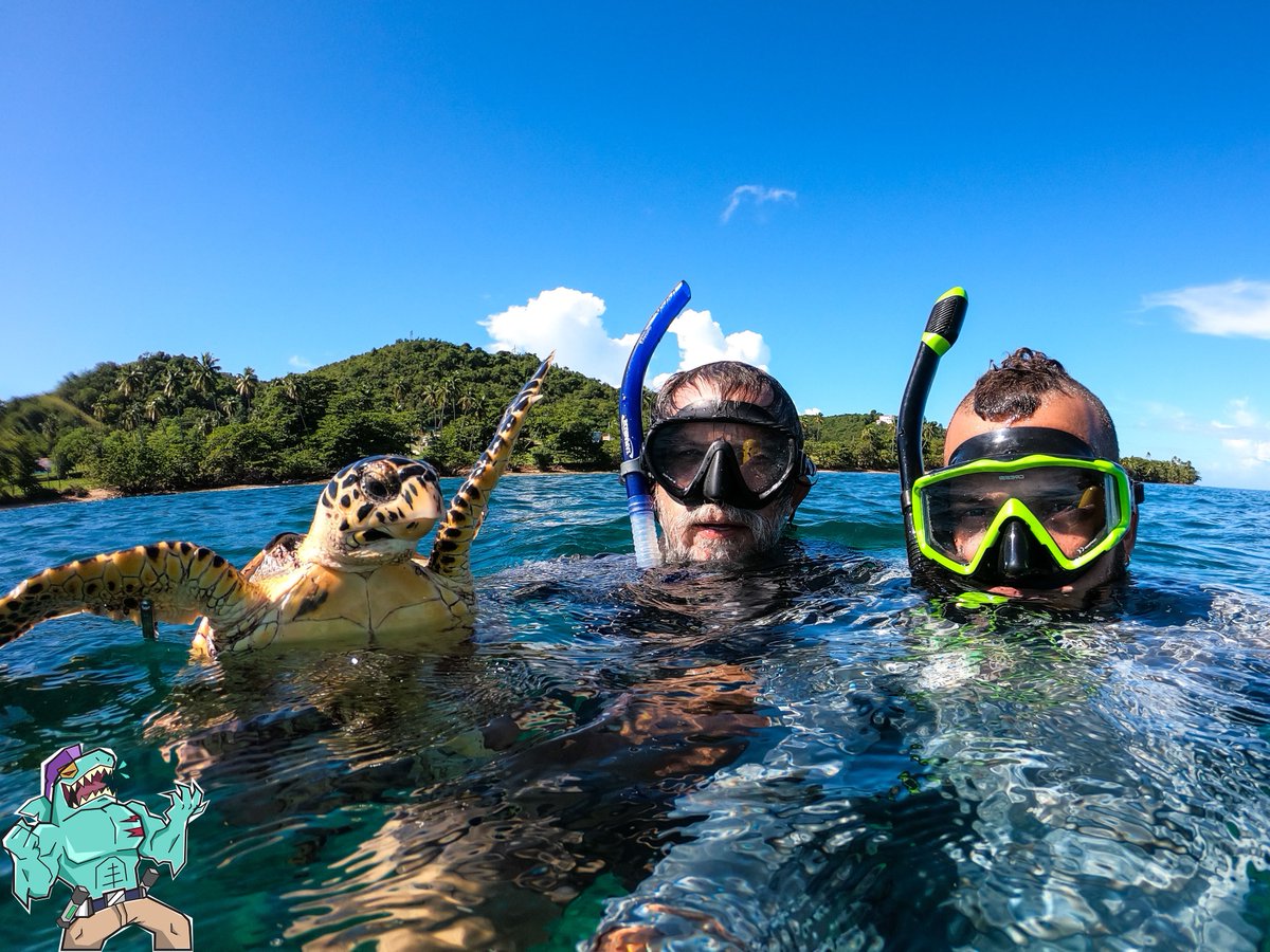 YafedTiburon's tweet photo. Ya es la tradición el selfie con el Mater Jedi Carlos E. Diez y nuestra amiga. Ella como que se lucio esta vez mirando la cámara.

#cheloniapr #chelonia #tortuga #turtle #hawksbillturtle #carey #tortugacarey https://t.co/sPCtnFSNOv