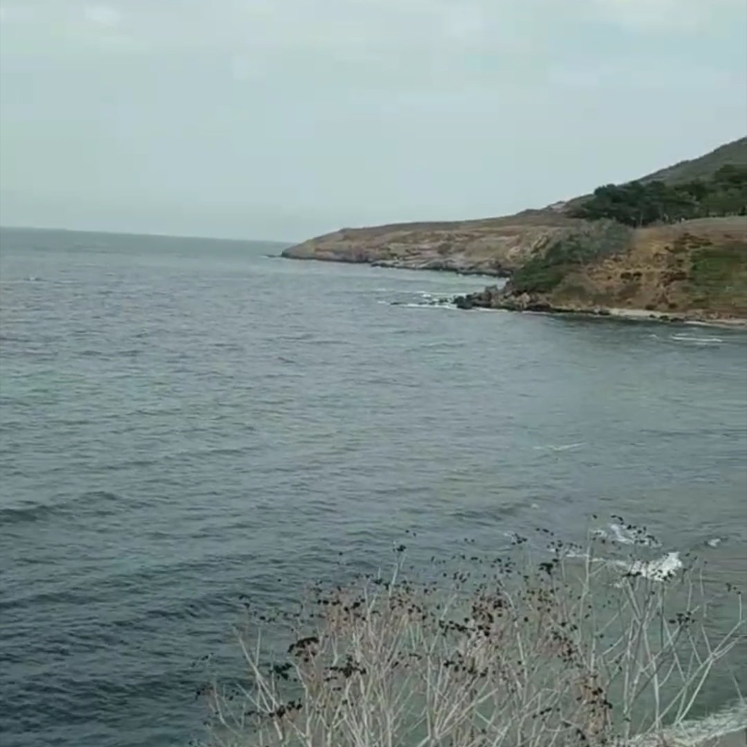 #YeniProfilResmi