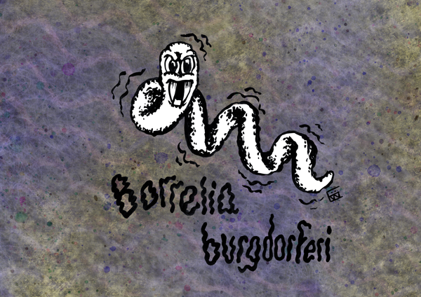  #Inktober2020 day 19 of my  #PathogenPortraits- give us a twirl, swirly  #Borrelia!B. burgdorferi are spirochaetes (corkscrew shaped  #bacteria) that cause  #LymeDisease. Spread by ticks & super tricky to diagnose!More info:  https://www.lymedisease.org/lyme-basics/lyme-disease/about-lyme/  @Lymenews #SciArt  #microbiology
