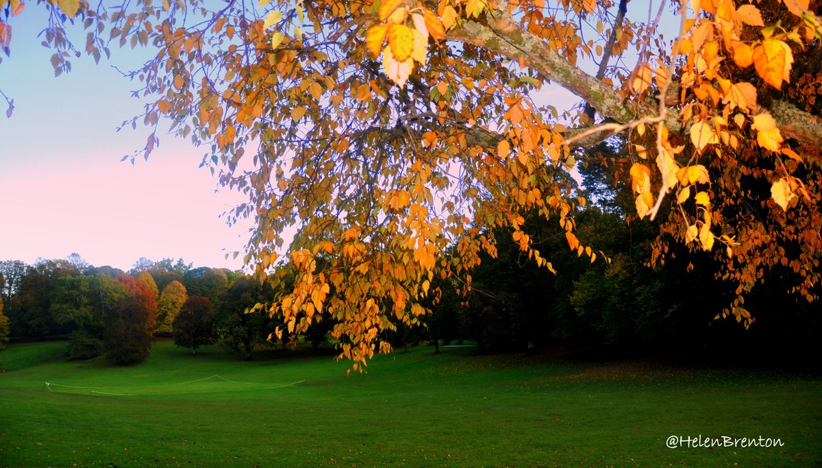 Helen Brenton 🇪🇺 tweet media