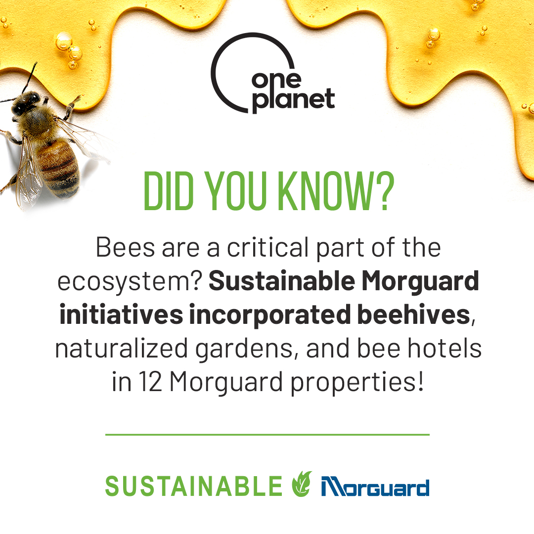 #SustainableMorguard supports vital honeybee populations by incorporating beehives, gardens and bee hotels at 12 of our Morguard properties across Canada!⠀
⠀
#OnePlanet