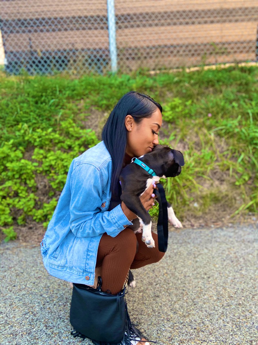 lolaaa_x3's tweet photo. $1000 reward to anyone who finds my baby. He was last seen in HAZLEWOOD. Pittsburgh, I know it’s only like 4 of y’all on here but it would mean the world to me if you could just share this and get the word around. I’m not from here, I just really want my boy back. 💔 https://t.co/7gLpdRdRKX