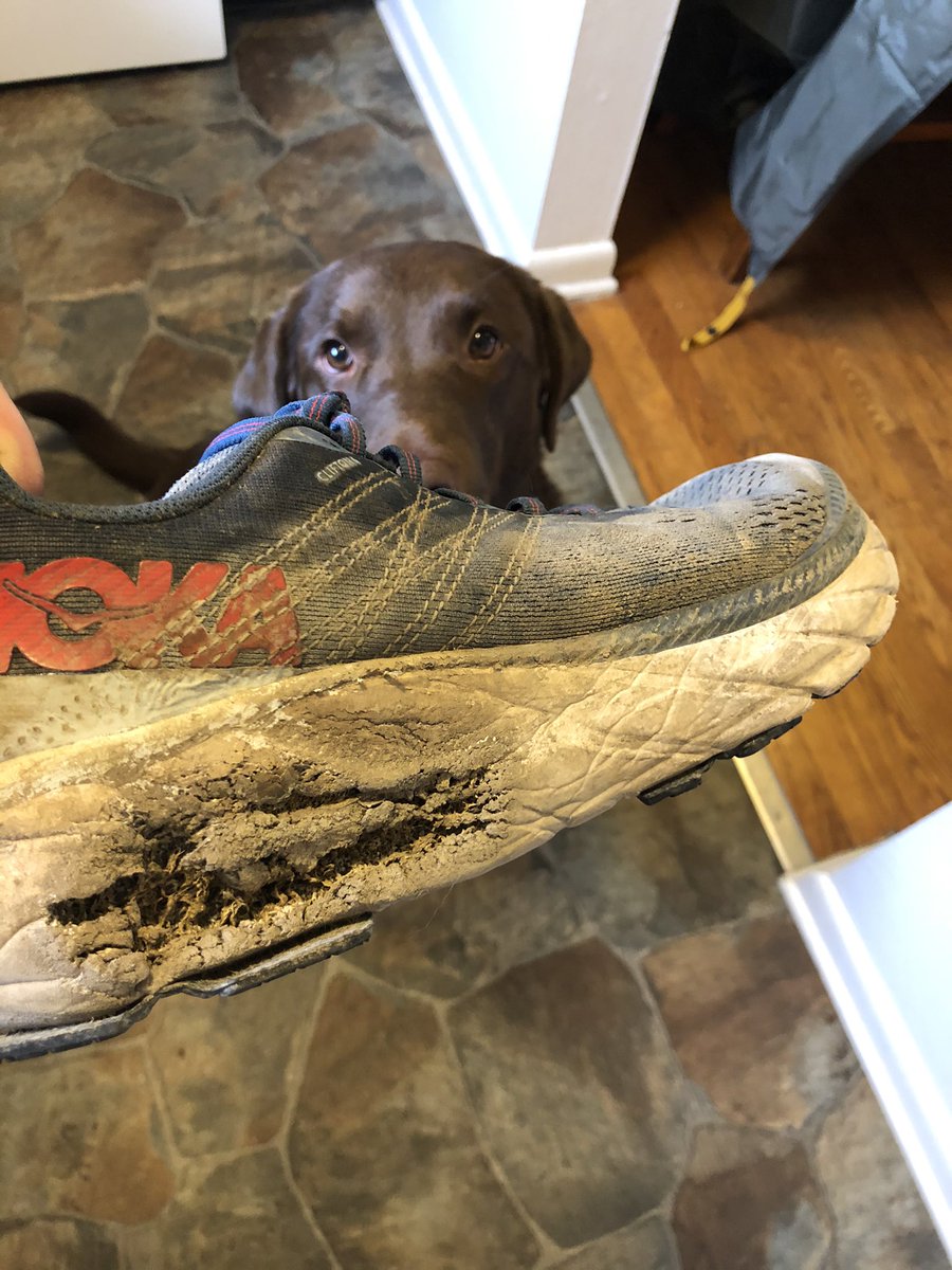 _BryceHumphreys's tweet photo. @HOKAONEONE I guess we hiked a little to fast this weekend and burned up a sole. Please send one new size 9 Clifton 6 https://t.co/oXKhlg1AiE