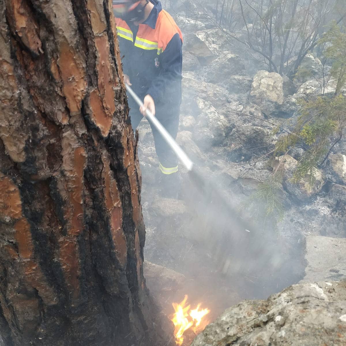 PC Icod de los Vinos tweet media