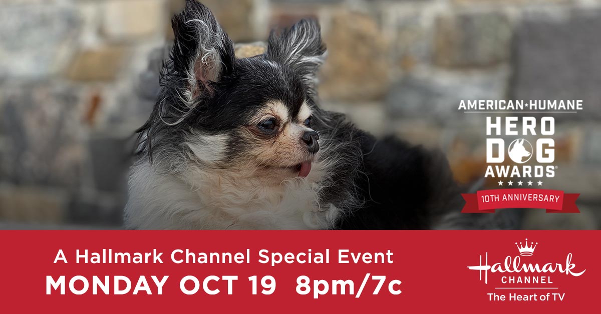 Pittsburgh Zoo & PPG Aquarium Achieves Humane Certification for Animal