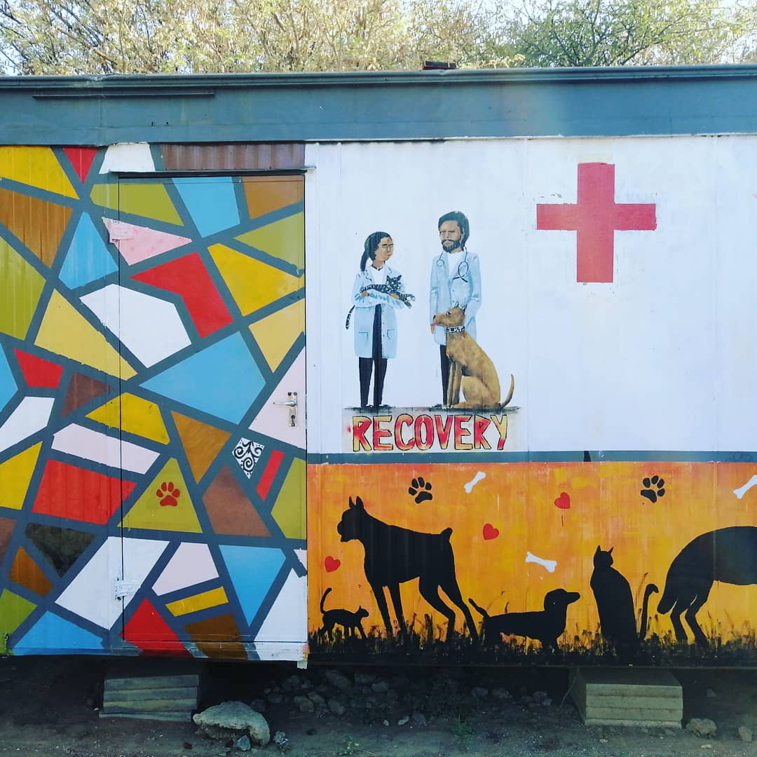 BSPCA Facelift
#BSPCAfacelift
#communitylove #communityfirst #volunteer #volunteerspirit #animalrescue #animalrescuesite #animalcare #art  #dog #cat