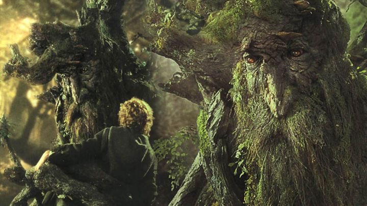 MsMMason's tweet photo. Tree beard:They come with fire, they come with axes... gnawing, biting, breaking, hacking, burning! Destroyers and usurpers, curse them! #savemeonwoods #lotr #meonhill #Tolkien #peterjackson @MVWoodlandWalk #weathertop https://t.co/ZwncXT0XP5
