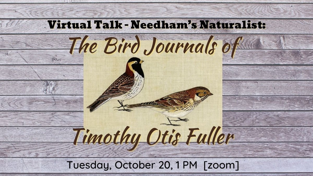 NeedhamHistory's tweet image. Join us for a FREE virtual talk! A captivating look at Timothy Otis Fuller, a naturalist who spent years studying the plants and birds of Needham, MA.
Zoom: zoom.us/j/94116869645