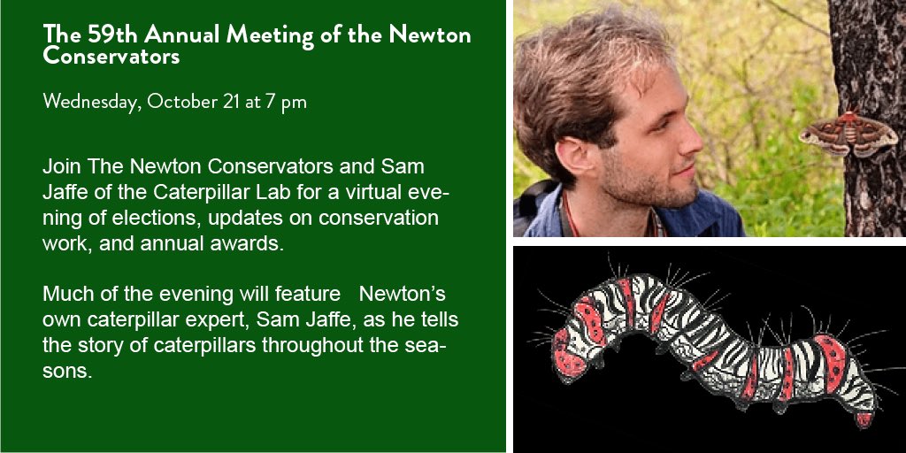 Learn more about conservation in Newton and caterpillars during our 59th Annual Meeting! We will be joined by Sam Jaffe of the caterpillar lab for this eventful, virtual evening. Register today: tinyurl.com/NC-Annual-Meet…