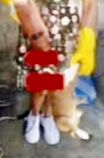 Tarek William Saab tweet media