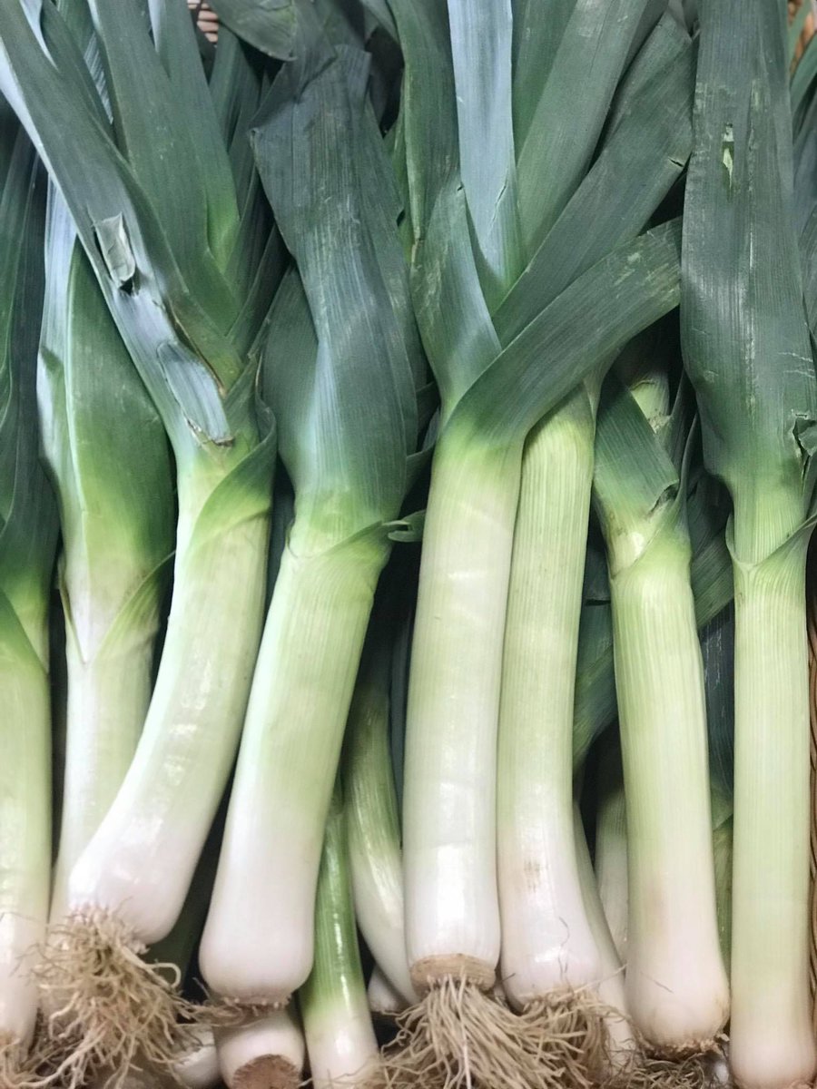 Stock up on Kutchey Family Farm fall favorites, like leeks, squash, and syrups before they close for the season! Their farm market operates through October 31st and will reopen in Mid July 2021. #macomb #knowyourfarmer #fall https://t.co/DEpRd9hYtz