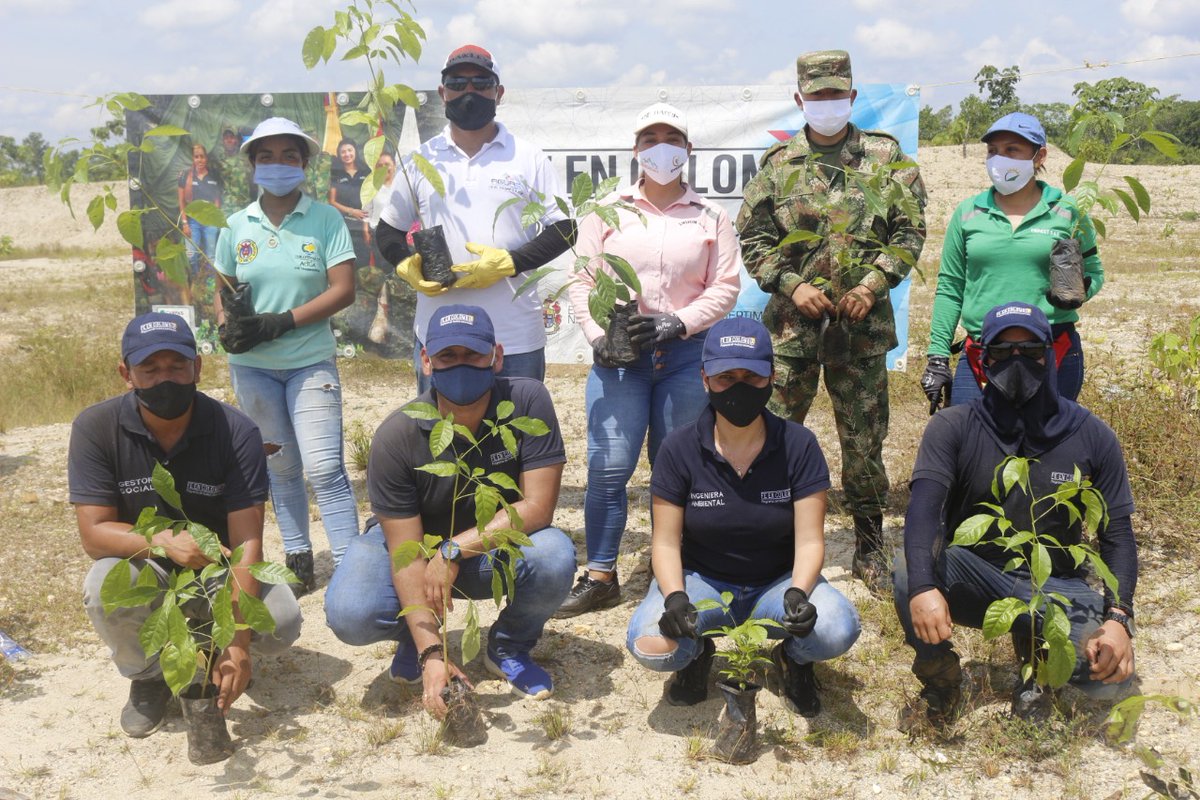 EmijomS's tweet photo. En Emijom S.A.S y Emincut S.A.S. no paramos...  jornada de sembratón en las Margaritas con la compañía de Mineros S.A., Ejército Nacional de Colombia, Aguas De El Bagre SA ESP y el SeHPAZ 

#SomosEmijomSAS https://t.co/ECZIEbYS5N