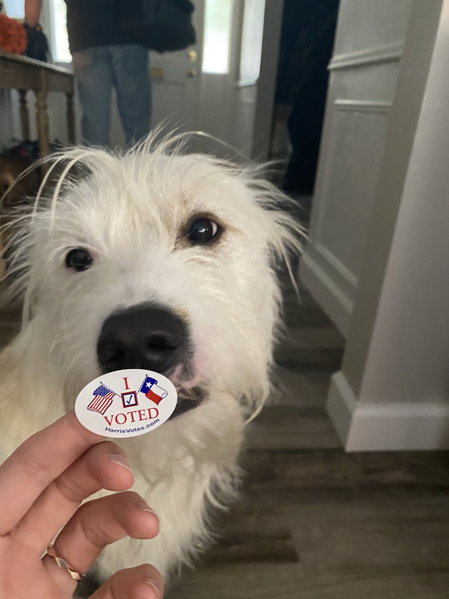 LLCegielski's tweet photo. Go vote! #YourVoteMatters #tallulahapproved https://t.co/K9oYrTsgTV