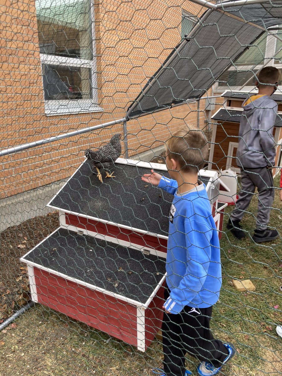 Stacy Robison tweet media