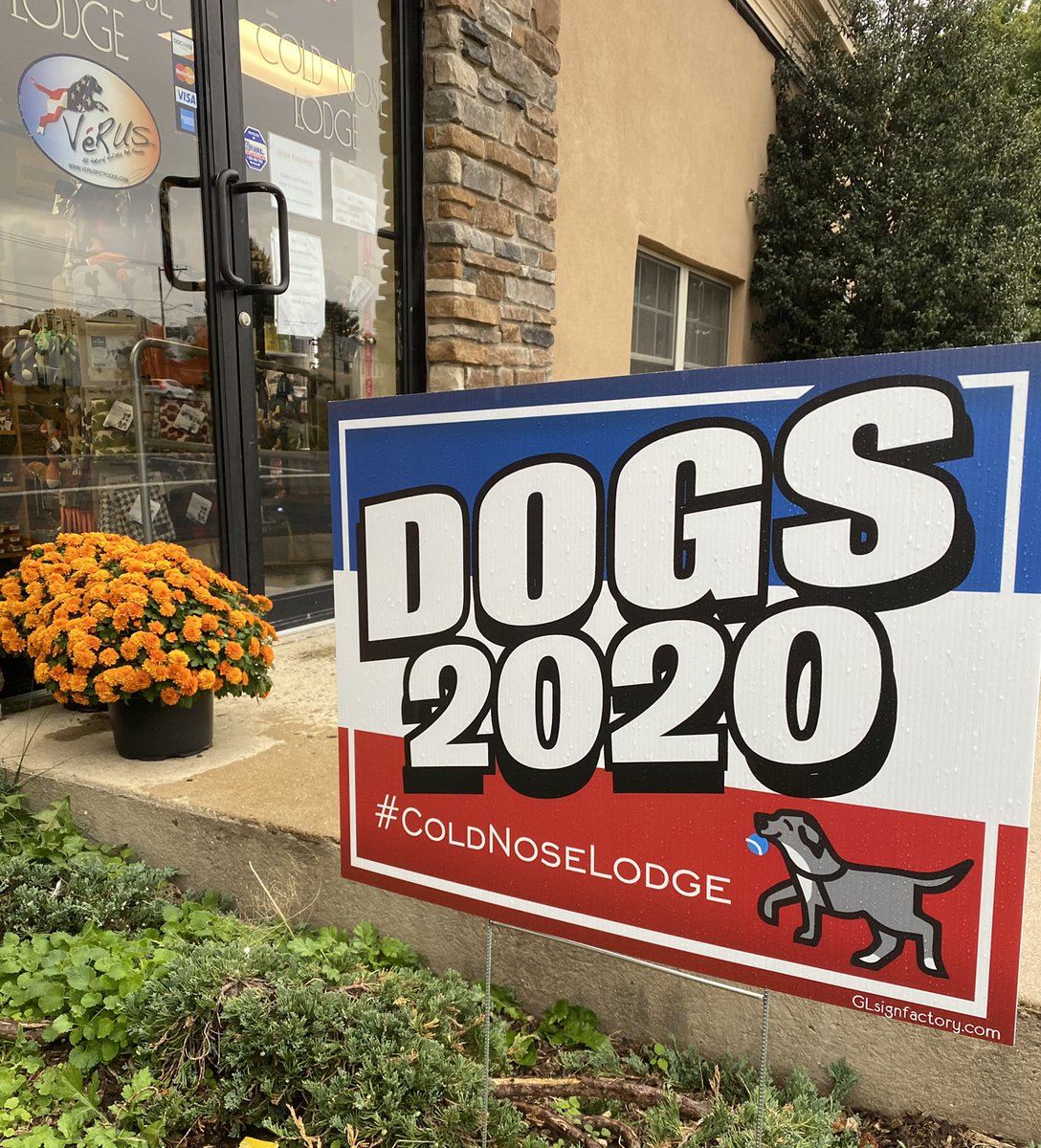 cnlrayne's tweet photo. #dogs2020 @coldnoselodge @69News @mcall https://t.co/RUaiA8xWjW