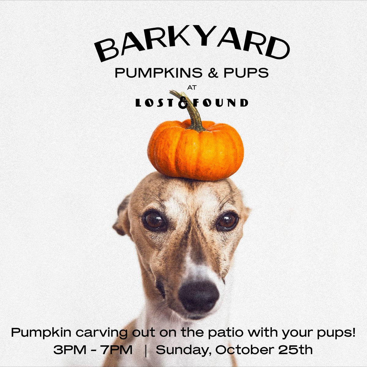lostandfoundep's tweet photo. Bring your pumpkins and your pups, #Barkyard is back! Join us this Sunday, October 25th for pumpkin carving out on the patio with your pups from 3pm to 7pm! 🎃🐶 https://t.co/yB1UKxkClG