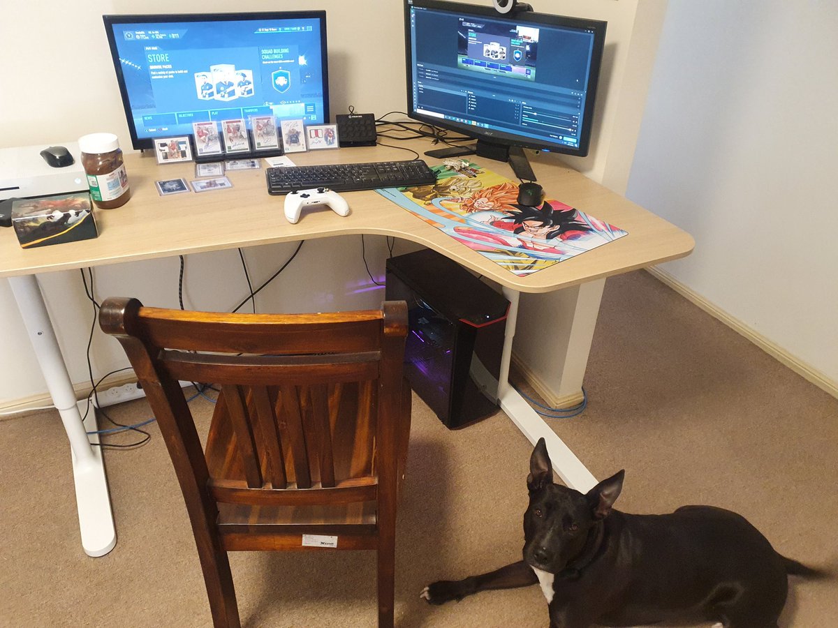 Blackrockmac's tweet photo. Stream seems to be working, got the new desk and the old stream supervisor is making sure everything is up to standard. Time for breaky!
Live in 40 mins on https://t.co/PSEoq99ixl! #FIFA21 #FUT21 #FIFA #FUT #10DepthPress #Pay2Lose #TwitchAffiliate #TwitchPrime #SmallStreamer https://t.co/IS2cxsievc