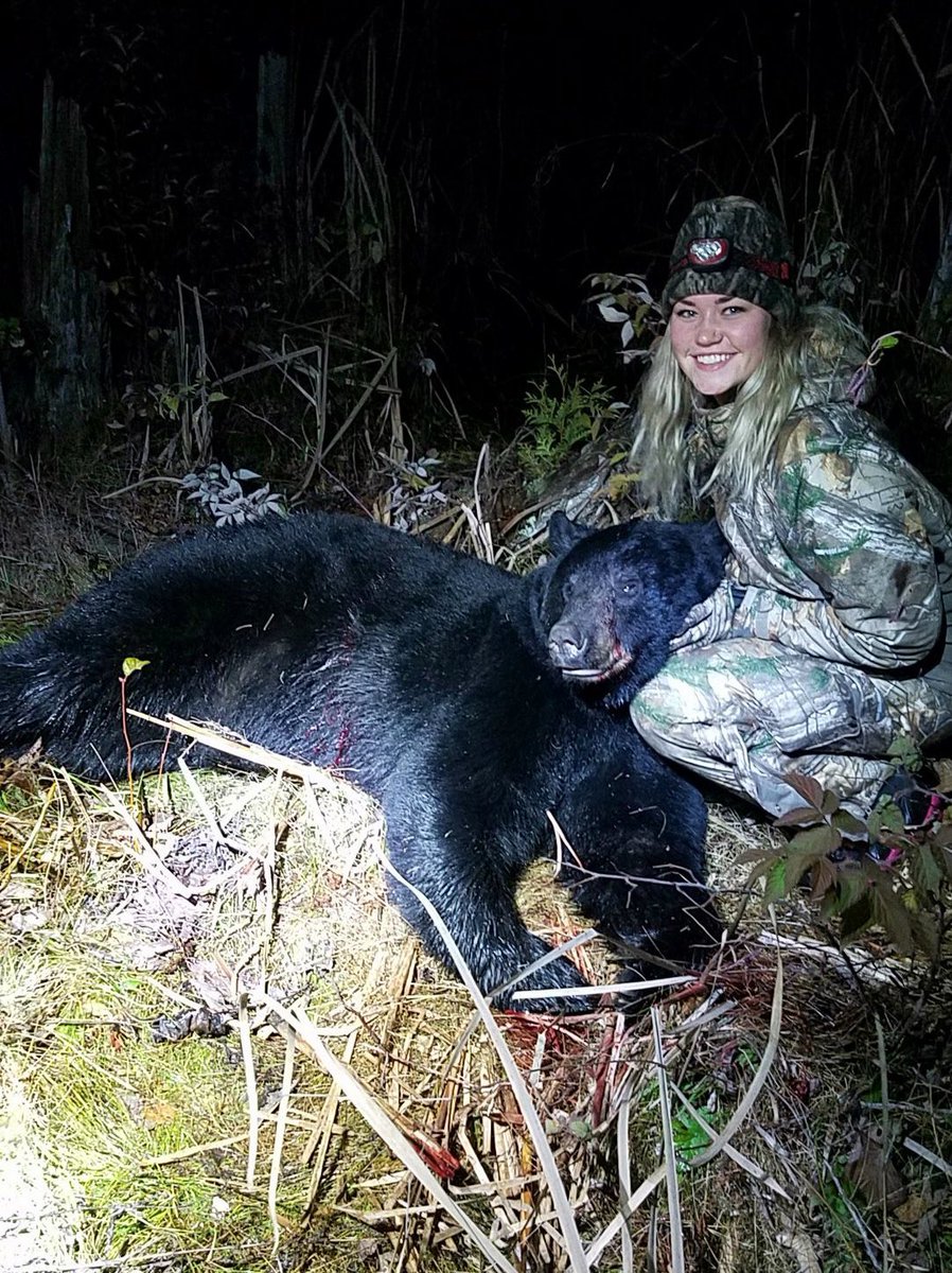 AutumnHudak's tweet photo. 1 year ago today I gutted my 350lb bear and last night I gutted my 290lb bear. What a great time of year in Northern Michigan 😍 https://t.co/pWXVANK0wk