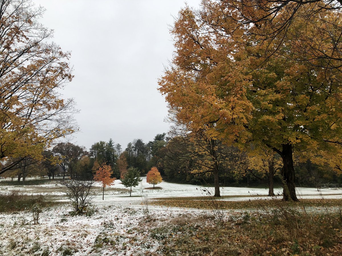 hopeontv's tweet image. When winter and fall collide #finter?