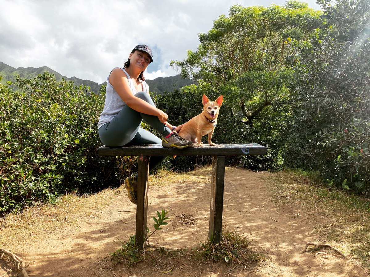 Living to be outdoors ā°
Featuring Lucky š¶
#hawaiihiking #trails #hawaii #hawaiitravel #traveler #outdoors #peaceful #tranquil #beauty #healthylifestyle #healthydancer #dancelifestyle #beautifulday #doglovers #doghike #bellydancehawaii #hawaiibellydance https://t.co/lWcmTCe9gz