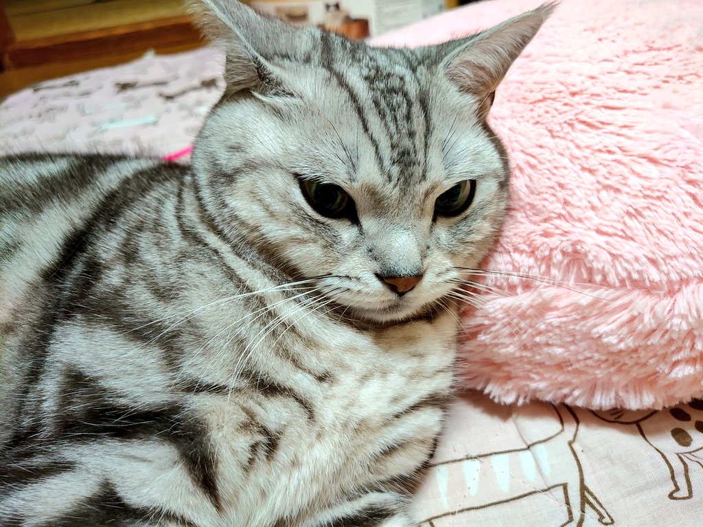 くしゃみ X 鼻水 Hotワード