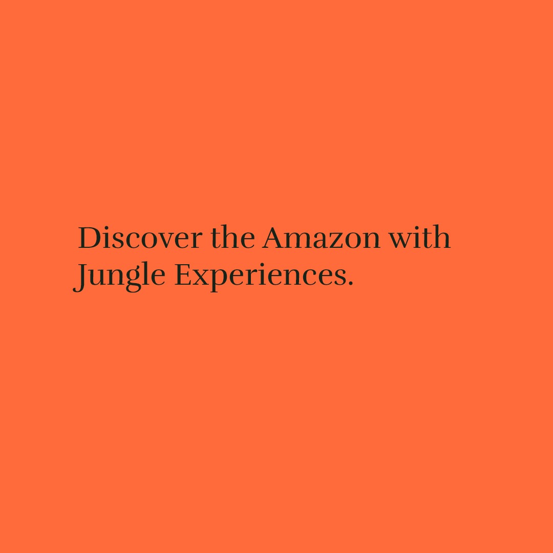 Jungle Experiences tweet media