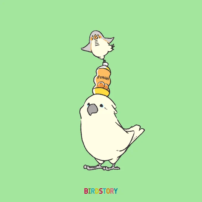 おはようございます。
本日は10月20日、ひとまわり、ふたまわりの語呂合わせから、リサイクルの日とのことです?
#BIRDSTORY 
#finch #フィンチ 