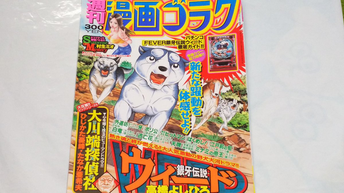 ট ইট র 中原伸明 銀牙伝説weed 銀牙 漫画ゴラクで 銀牙伝説weedが 最後になった表紙です たくさんゴラクでは ウィードの 表紙を描いた 高橋よしひろ先生 ですが 表紙を書くの抵抗があった見たいで これがウィード最後の 表紙になったんだよね
