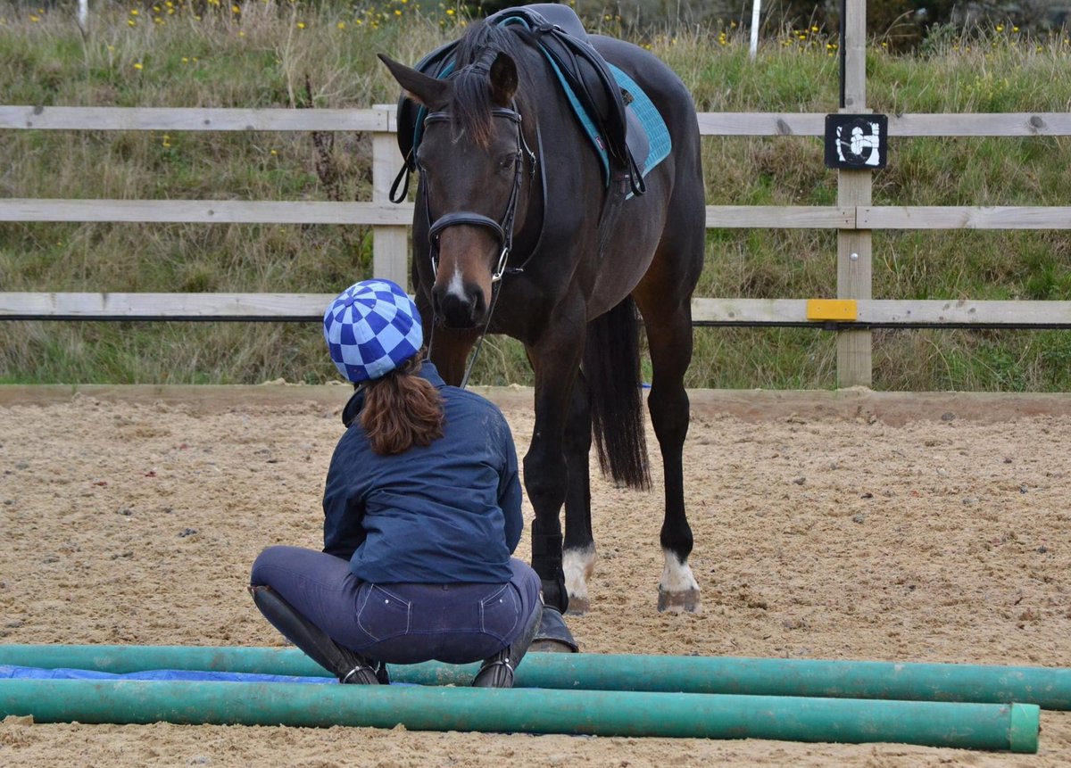 pippa_marsh's tweet photo. @kent_police I want to say a massive thank you to the two officers today who stopped for my horse and I after we were passed extremely close at high speed by a car they were pursuing. We are both unharmed and Mabel tucked into her dinner like nothing had happened. 💙 https://t.co/VZwbsdffgd