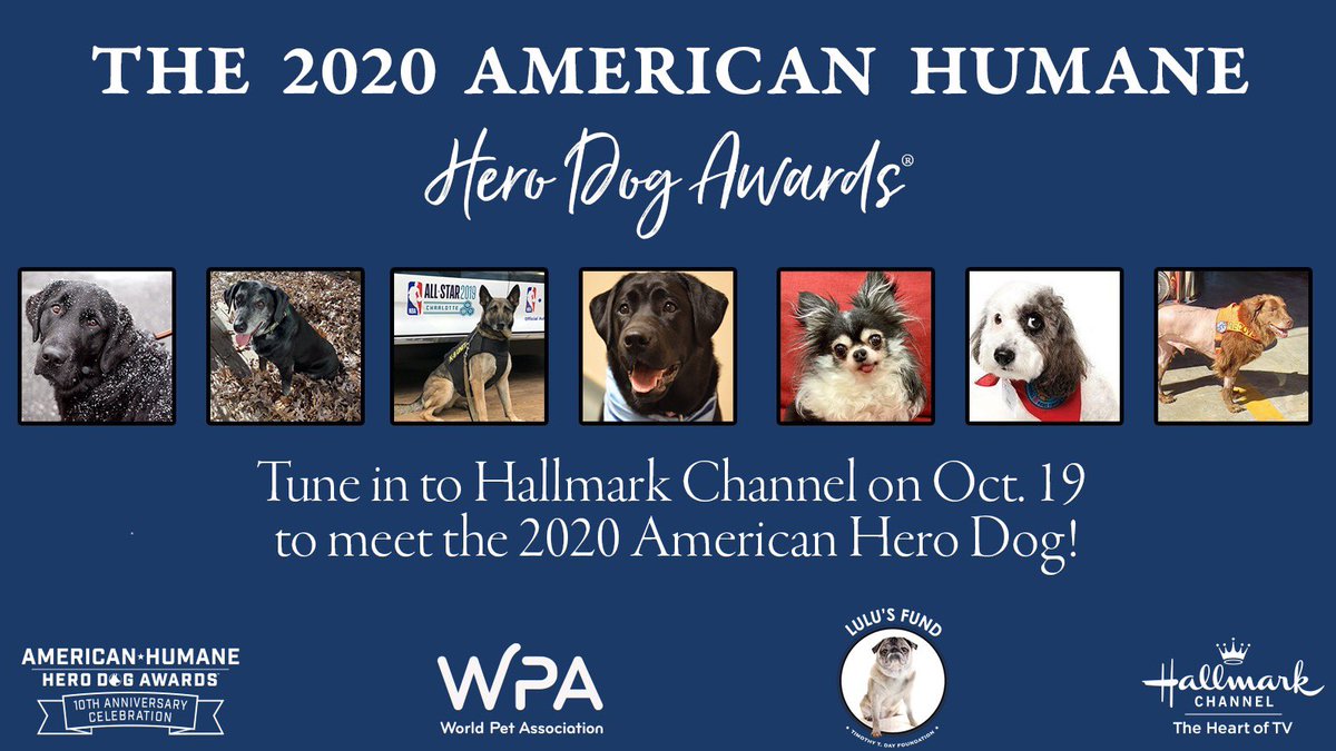 The @AmericanHumane @HeroDogAwards searches out America’s Hero Dogs- often ordinary dogs who do extraordinary things. Tonight, one pup will receive the highest honor in all of the canine world - the American Hero Dog title. Tune in to @hallmarkchannel NOW to join the fun! https://t.co/YBJhrKdOrK