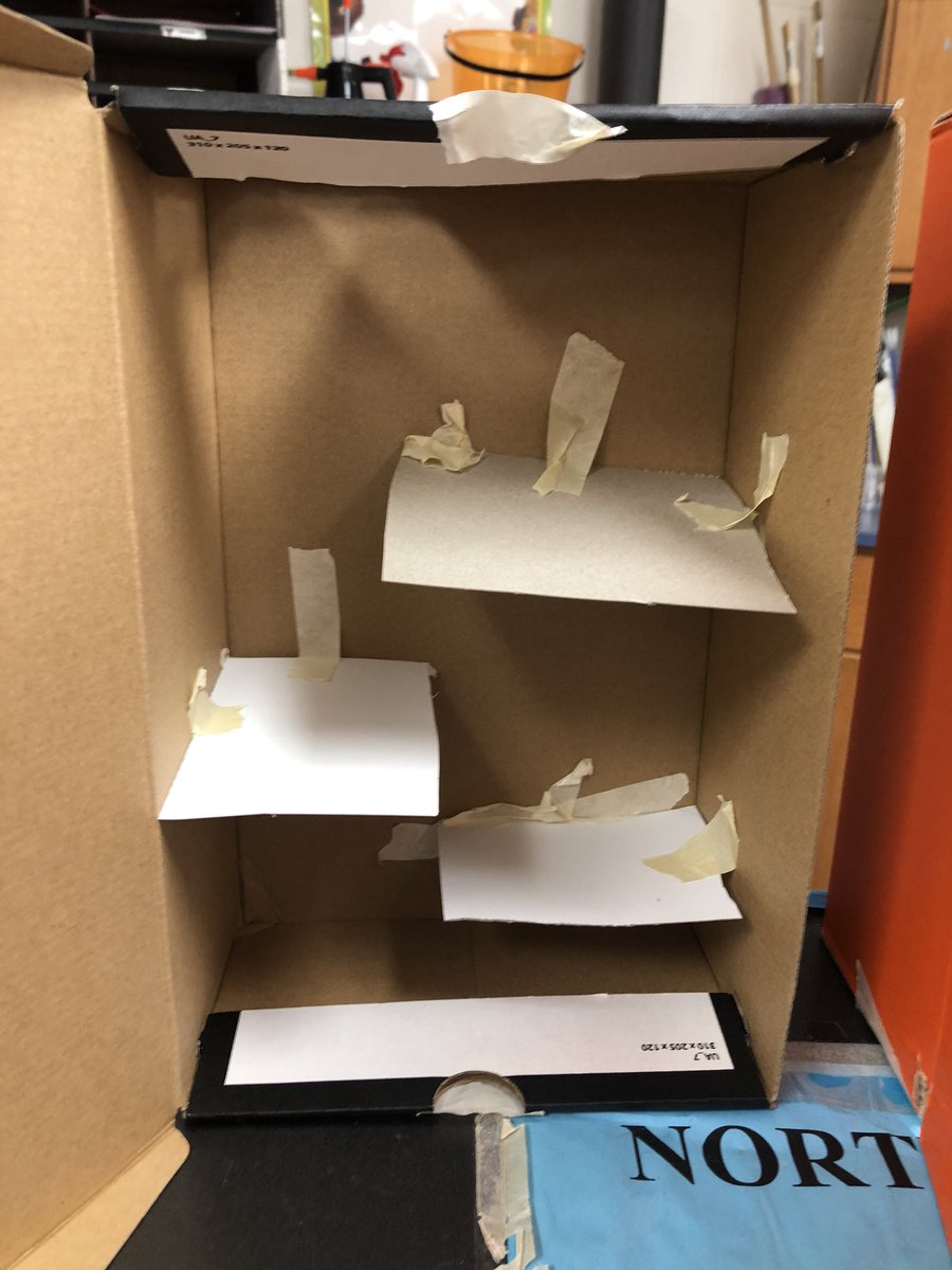 KiserClass's tweet image. We constructed bean mazes to observe how plants will CHANGE over time to meet their survival needs. Our first seed sprouted and is already working it’s way toward the sun! (We keep the box closed when we aren’t observing.) #WeAreMidview #PBL #ObservingCHANGE #LearnByDoing