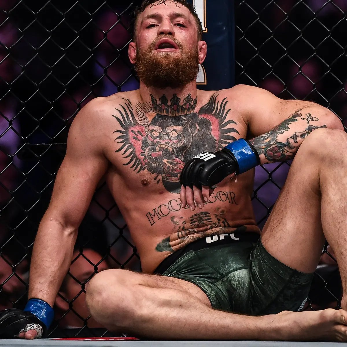 @TheNotoriousMMA This is the face of a man who won 3 out 4 with Khabib. https://t.co/tmXnTeW5WW