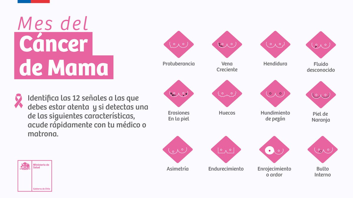 María José Zaldívar tweet media